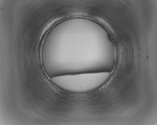 X0000080801023200612151027