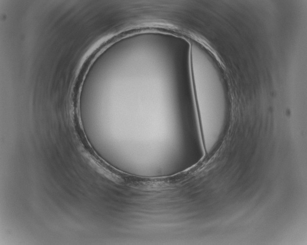 X0000080801024200612151027