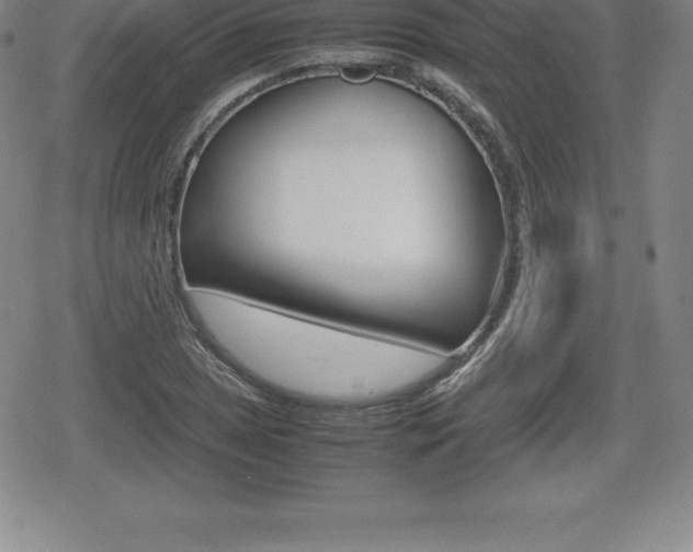 X0000080801025200612151027