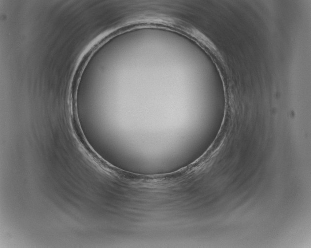 X0000080801028200612151027