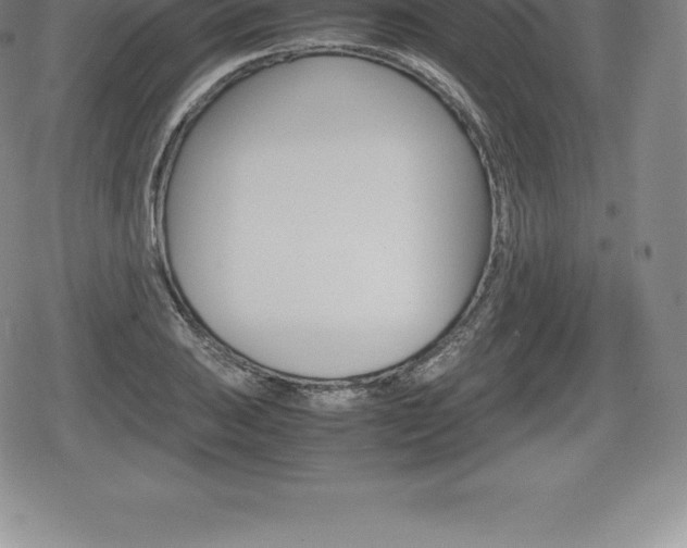 X0000080801031200612151027