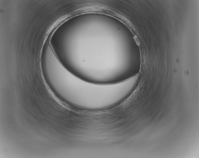 X0000080801034200612151027