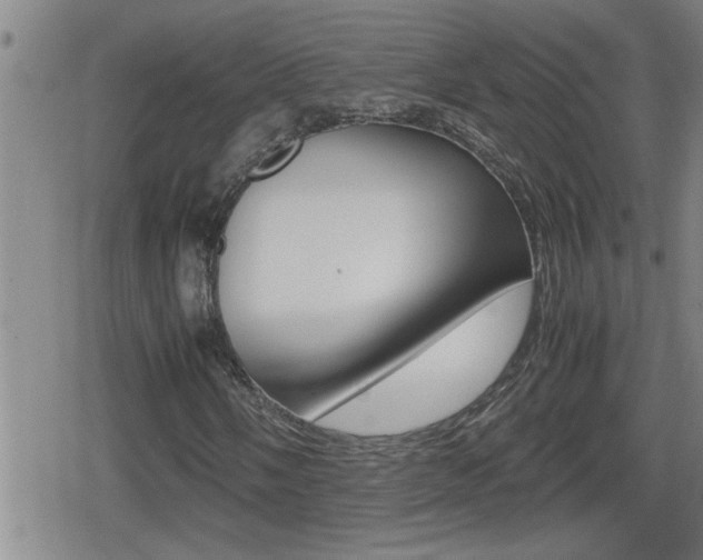 X0000080801058200612151027