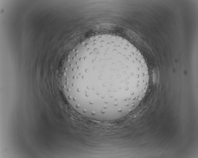 X0000080801059200612151027