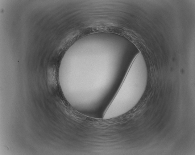 X0000080801060200612151027