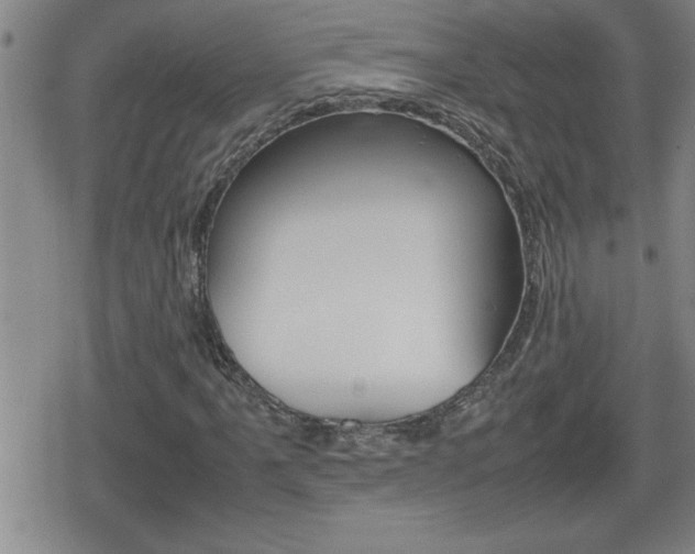 X0000080801061200612151027