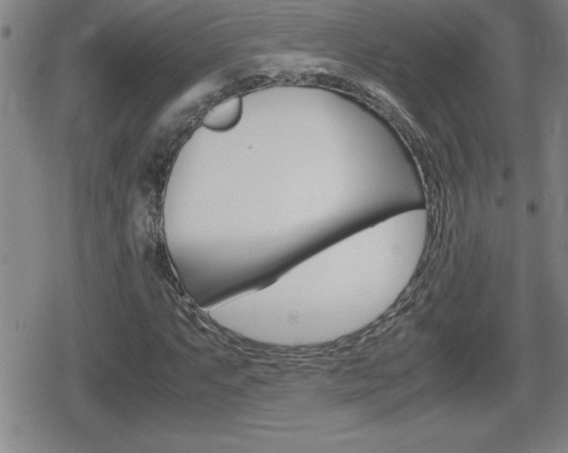 X0000080801063200612151027