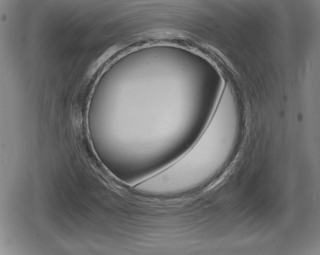 X0000080801065200612151027