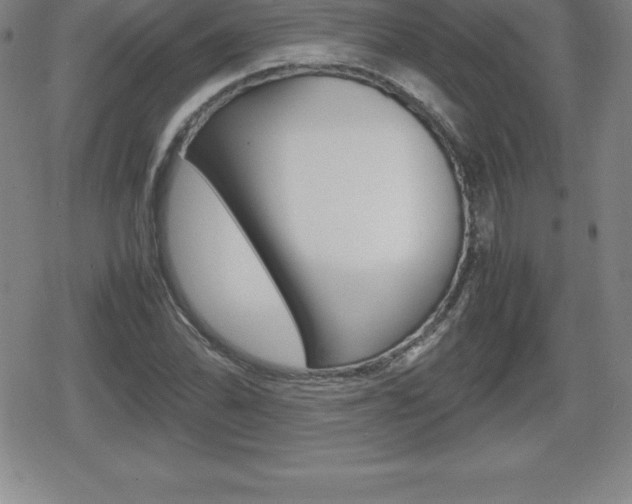 X0000080801070200612151027