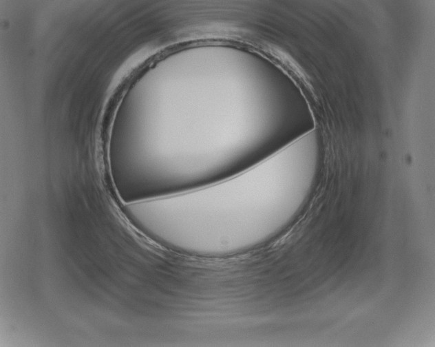 X0000080801072200612151027