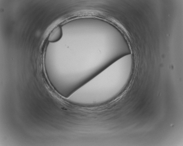 X0000080801075200612151027