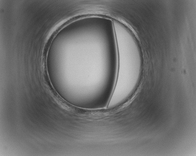 X0000080801077200612151027
