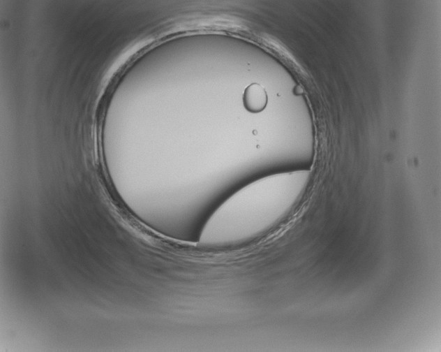X0000080801079200612151027