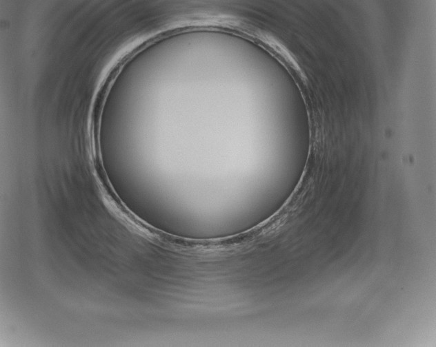 X0000080801080200612151026