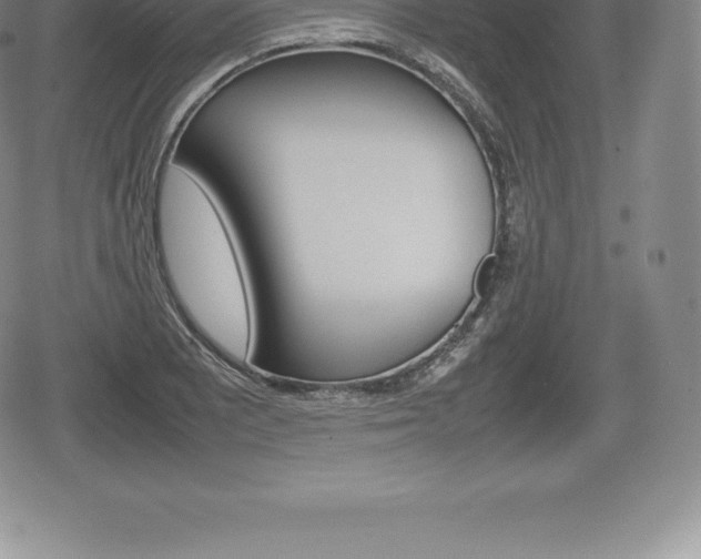 X0000080801081200612151026