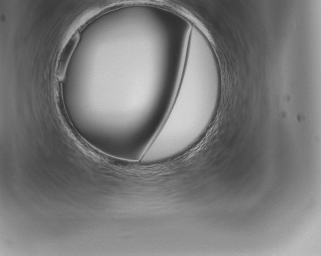 X0000080801093200612151026
