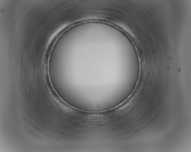 X0000080801119200612151026