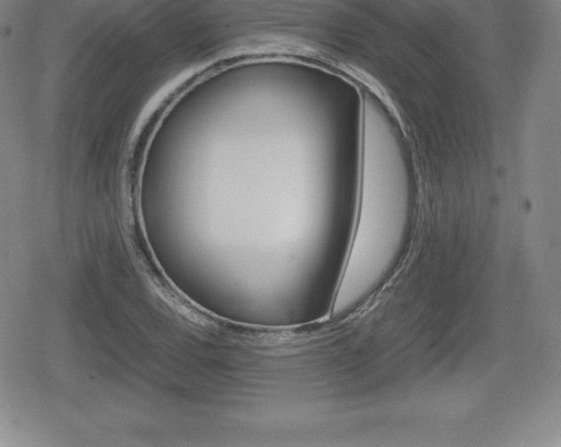 X0000080801120200612151026