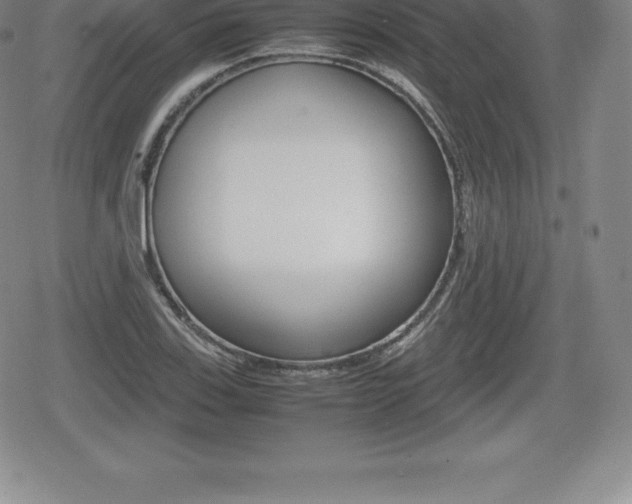 X0000080801123200612151026