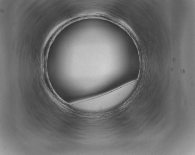 X0000080801124200612151026