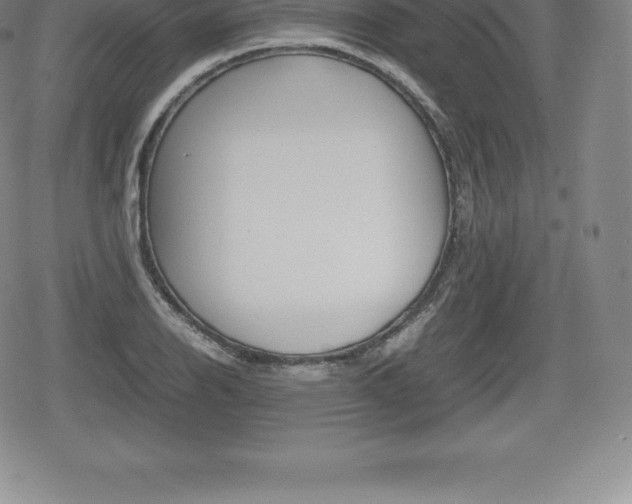 X0000080801126200612151026