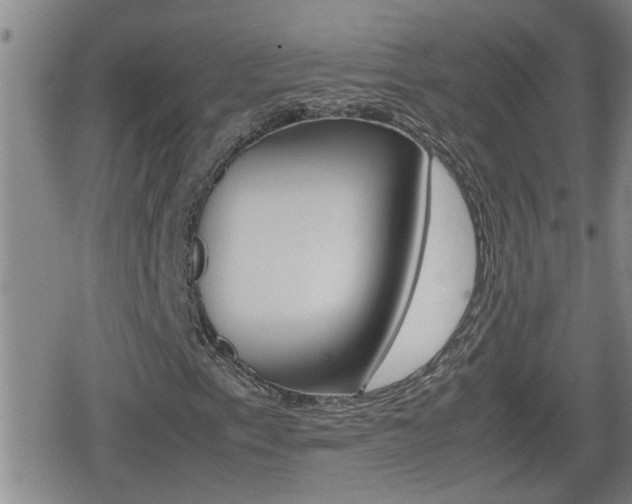 X0000080801153200612151025