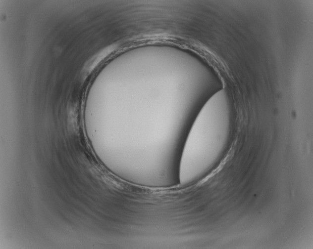 X0000080801162200612151025