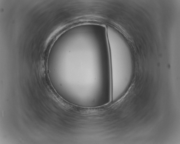 X0000080801164200612151025