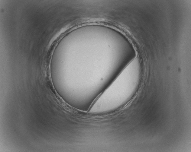 X0000080801165200612151025