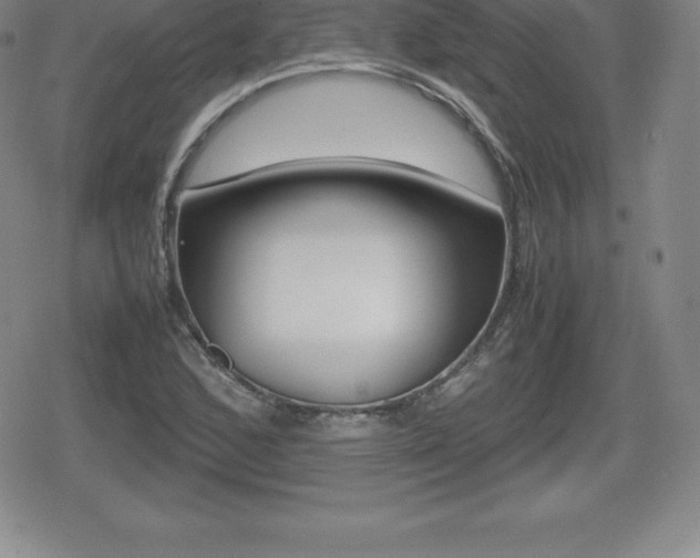 X0000080801168200612151025