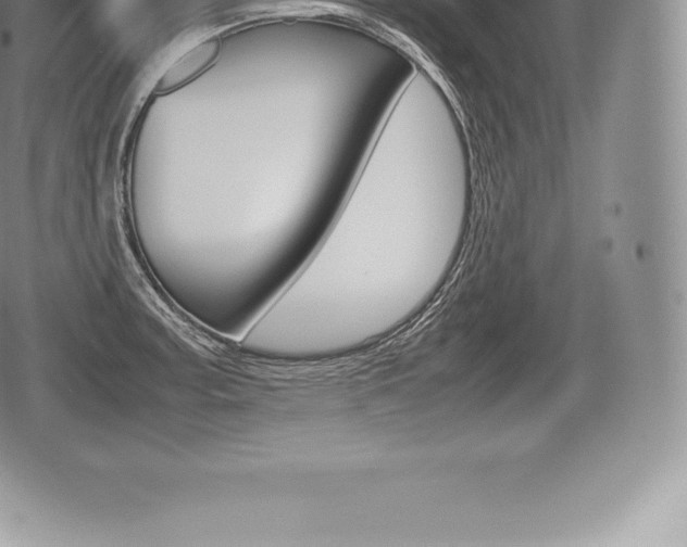 X0000080801187200612151025
