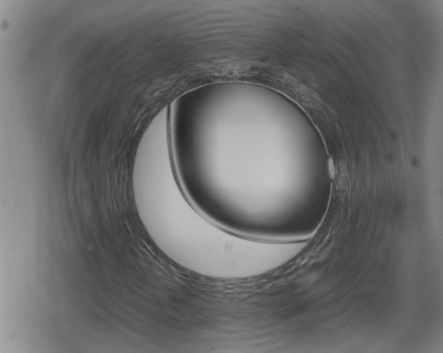 X0000080801202200612151024