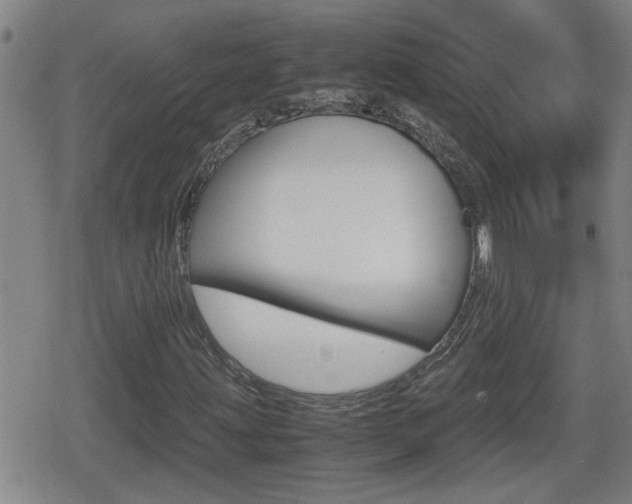 X0000080801203200612151024