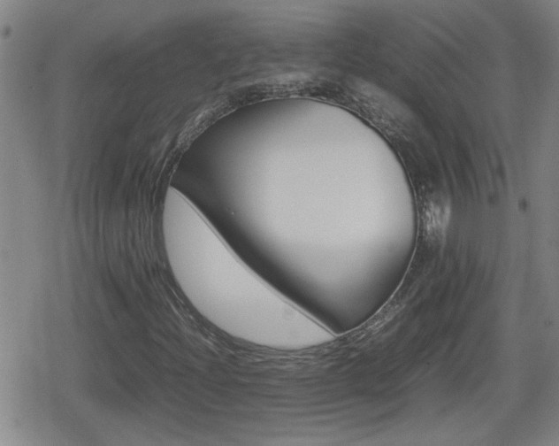 X0000080801204200612151024