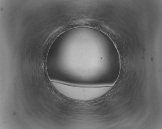 X0000080801206200612151024
