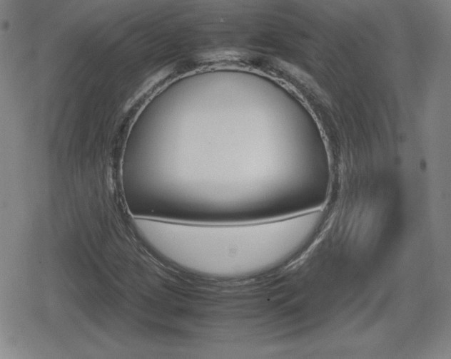 X0000080801209200612151024