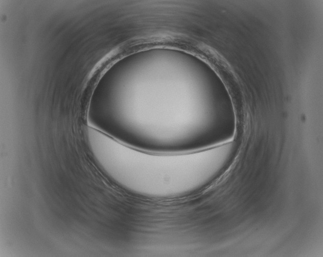 X0000080801210200612151024