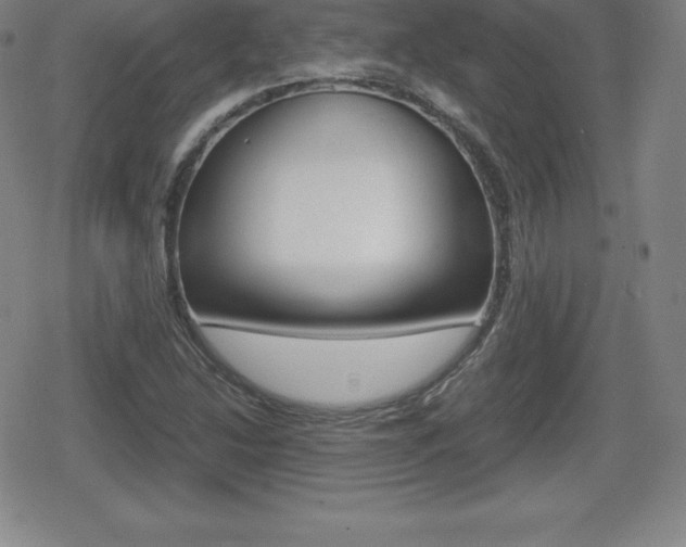 X0000080801214200612151024
