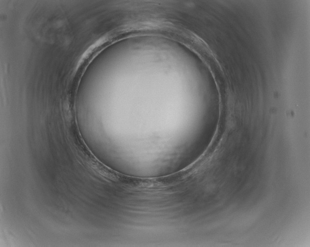 X0000080801218200612151024