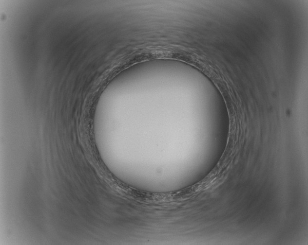 X0000080801249200612151024