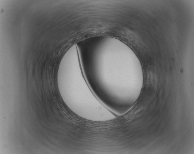 X0000080801250200612151024