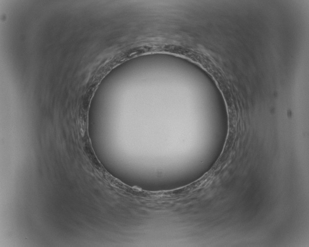 X0000080801253200612151024