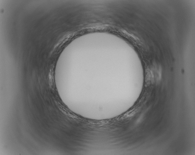 X0000080801254200612151024