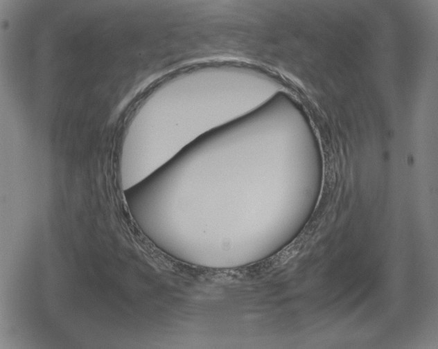 X0000080801255200612151024
