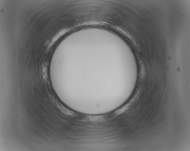 X0000080801258200612151024
