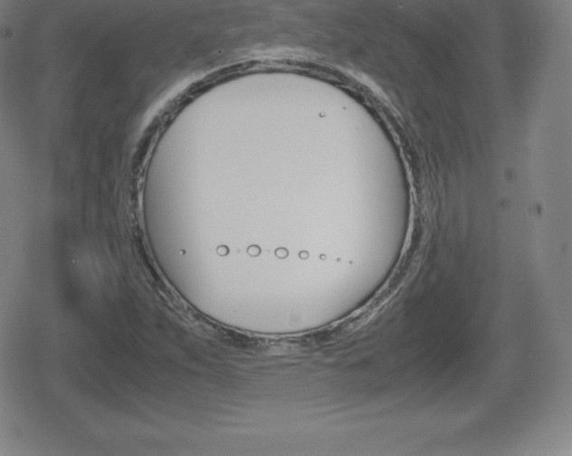 X0000080801263200612151023