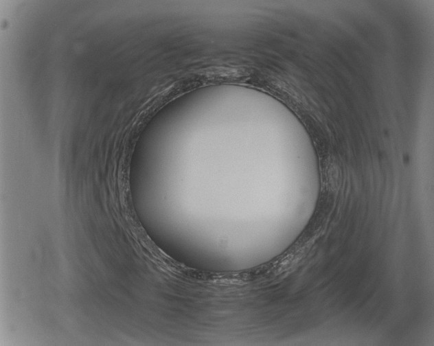 X0000080801297200612151022