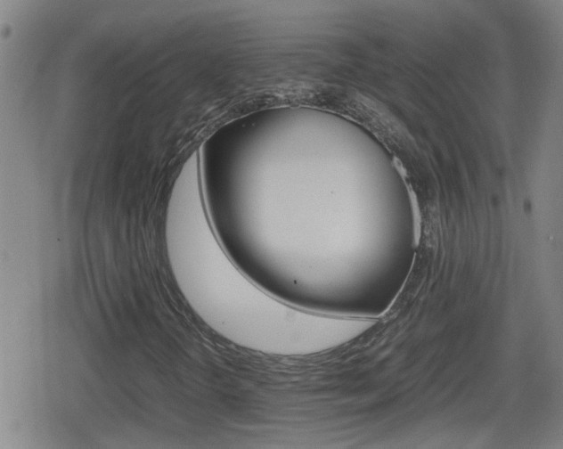 X0000080801298200612151022