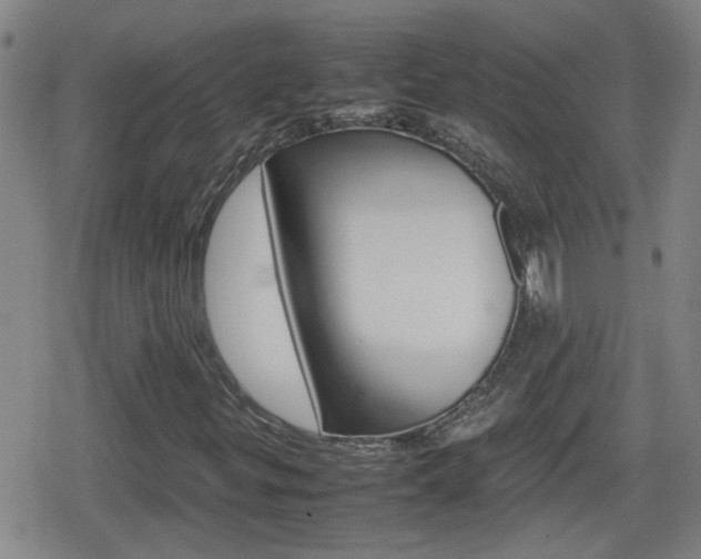 X0000080801299200612151022