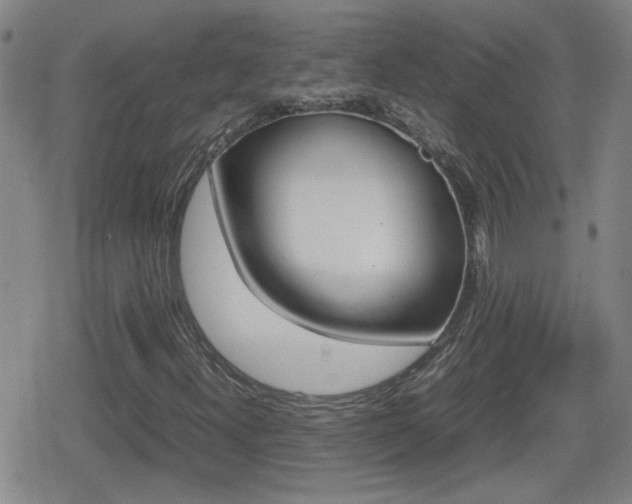 X0000080801300200612151022